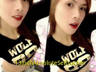 13inchAbsoluteSelfsucker