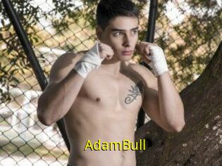 AdamBull