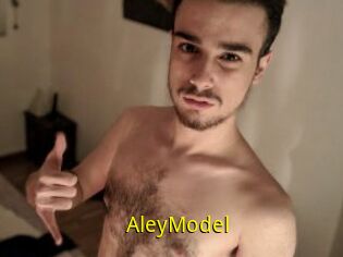 AleyModel