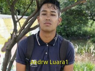 Andrw_Luara1