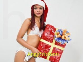 AngyErickson