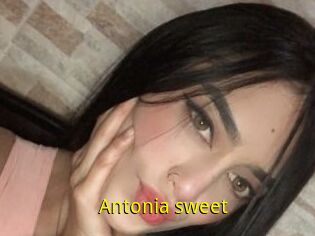 Antonia_sweet