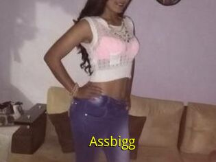Assbigg
