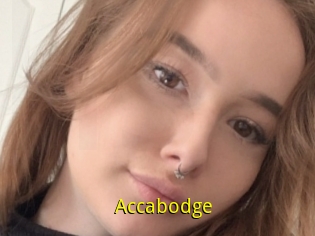 Accabodge