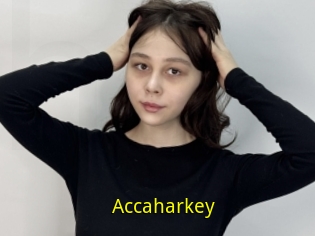 Accaharkey