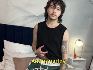 Adammarley