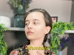 Aftonhase