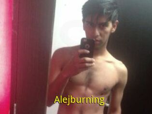 Alejburning