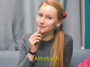 Alicebush