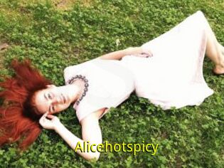 Alicehotspicy