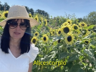 Alicescorpio