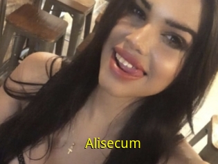 Alisecum