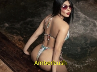 Amberbush