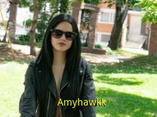 Amyhawkk