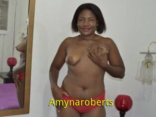 Amynaroberts