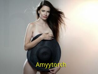Amyytorch