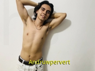 Andruwpervert