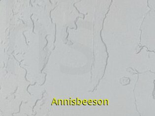 Annisbeeson