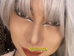 Anntook
