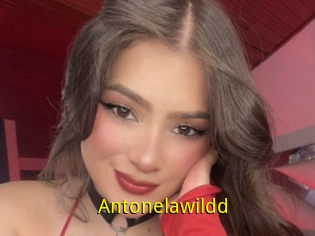 Antonelawildd