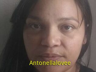 Antonellalovee