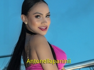Antonellapaninii
