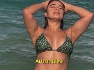 Antonellla