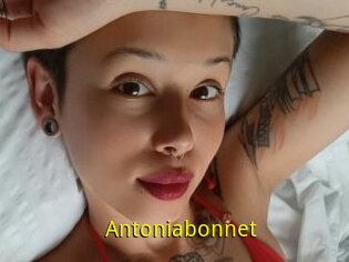Antoniabonnet