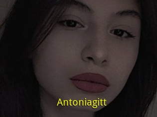 Antoniagitt