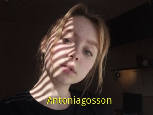 Antoniagosson