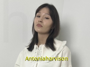 Antoniaharvison