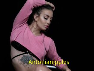 Antonianipples
