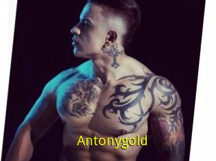 Antonygold