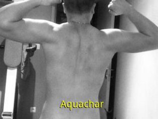 Aquachar