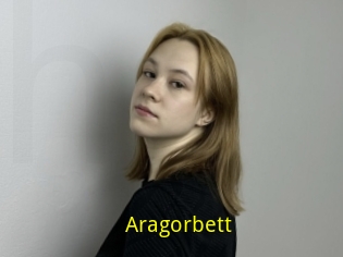 Aragorbett