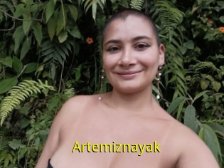 Artemiznayak