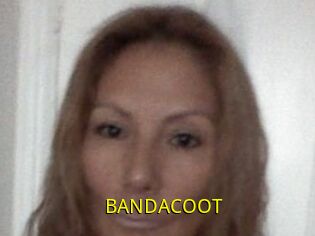 BANDACOOT