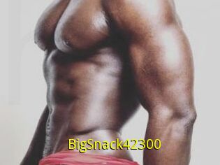 BigSnack42300