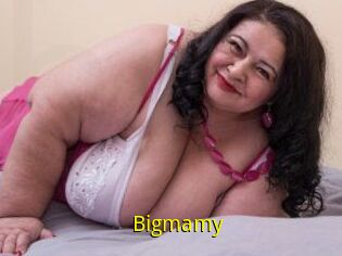 Bigmamy