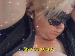 Bigmaturekitty