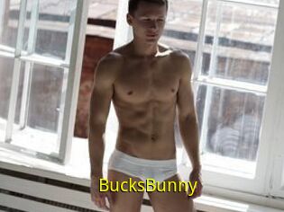 BucksBunny