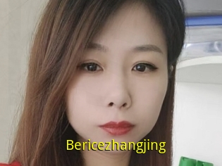 Bericezhangjing