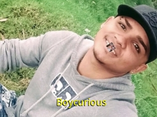 Boycurious