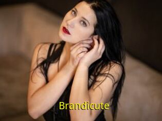 Brandicute