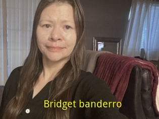 Bridget_banderro