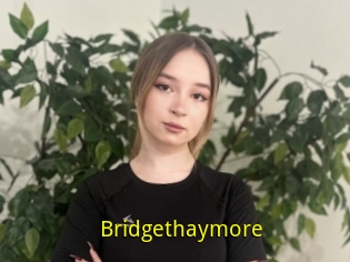 Bridgethaymore