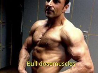 Bull_dosemuscles