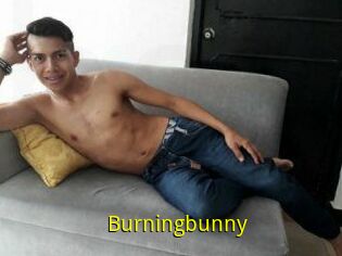 Burningbunny