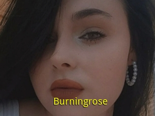Burningrose