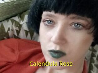 Calendula_Rose